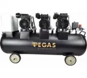 Pegas pneumatic PG-4200 6623