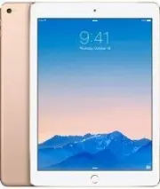 Apple iPad Air 2 Wi-Fi 16Gb Gold MH0W2RU/A