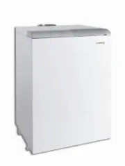 Protherm Медведь 20, 30, 40, 50 TLO