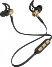 Nobby Expert L-900 Gold (NBE-BH-42-71)