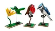 Lego Birds - Ideas № 21301