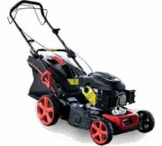 YANIS Borasco B46LQ 1100497