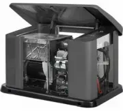 Briggs & Stratton G110 40491