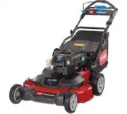 Toro TIME MASTER 21810 263427