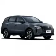 Livan X6PRO (2023 - нв)