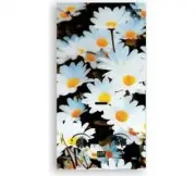 Vilterm S10 Glass ромашки 00-00002129