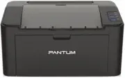 Pantum P2207