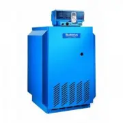 Buderus Logano G234WS