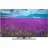 Haier 55 SmartTV AX Pro
