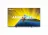 Philips 50PUS8079/12