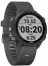 Garmin Forerunner 245 GPS EU Black/Slate (010-02120-10)