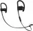 Beats PowerBeats3 Wireless Black (ML8V2ZE/A)