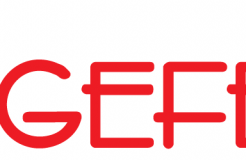 GEFEST